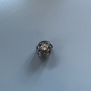 Pandora Charm 🌸